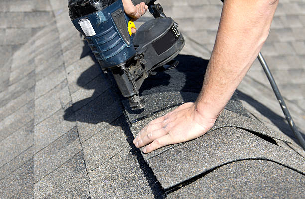 Best Roof Coating Services  in South Lyon, MI